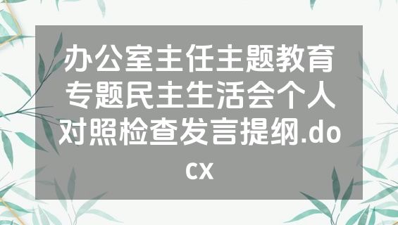 办公室主任主题教育专题民主生活会个人对照检查发言提纲.docx