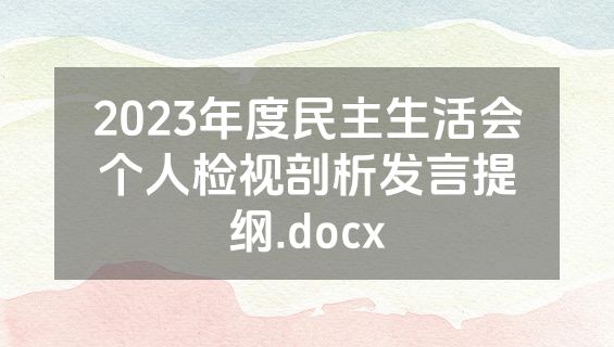 2023年度民主生活会个人检视剖析发言提纲.docx