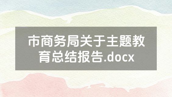 市商务局关于主题教育总结报告.docx