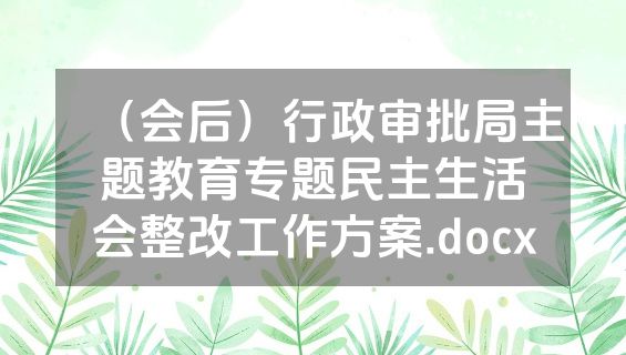 （会后）行政审批局主题教育专题民主生活会整改工作方案.docx