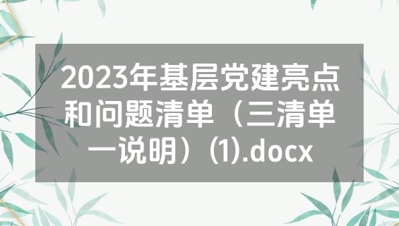 2023年基层党建亮点和问题清单（三清单一说明）(1).docx
