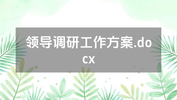 领导调研工作方案.docx