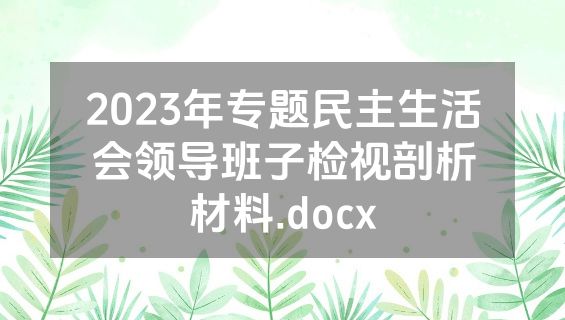 2023年专题民主生活会领导班子检视剖析材料.docx
