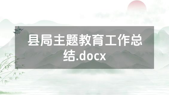 县局主题教育工作总结.docx