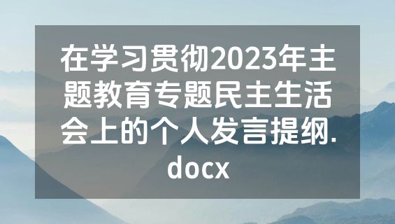 在学习贯彻2023年主题教育专题民主生活会上的个人发言提纲.docx