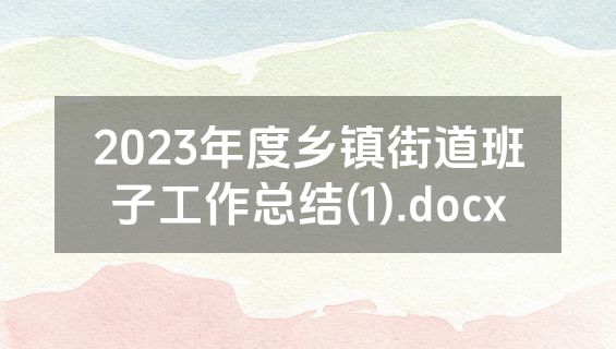 2023年度乡镇街道班子工作总结(1).docx