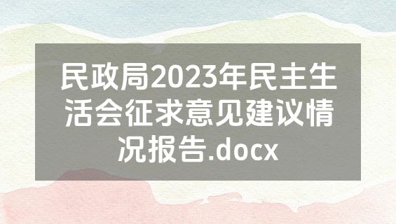 民政局2023年民主生活会征求意见建议情况报告.docx