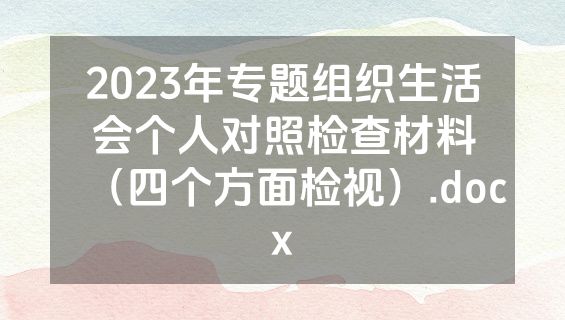 2023年专题组织生活会个人对照检查材料（四个方面检视）.docx