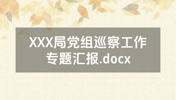 XXX局党组巡察工作专题汇报.docx