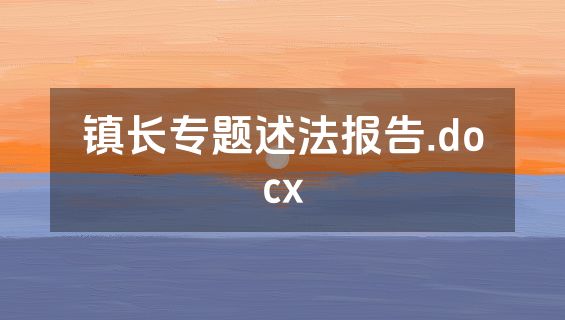 镇长专题述法报告.docx