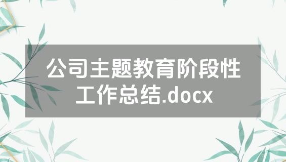 公司主题教育阶段性工作总结.docx
