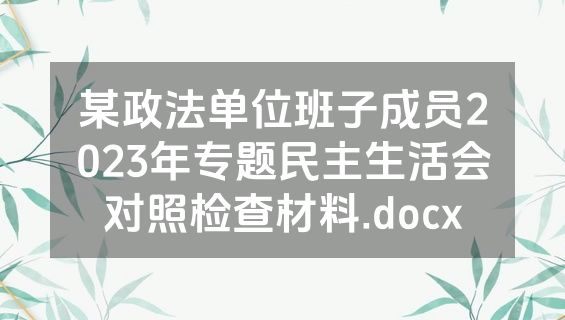 某政法单位班子成员2023年专题民主生活会对照检查材料.docx