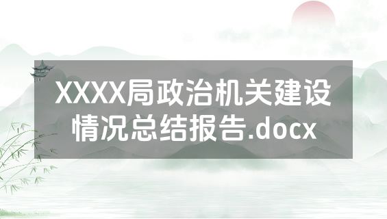 XXXX局政治机关建设情况总结报告.docx