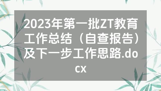 2023年第一批ZT教育工作总结（自查报告）及下一步工作思路.docx