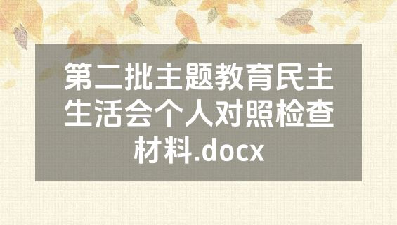第二批主题教育民主生活会个人对照检查材料.docx