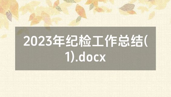 2023年纪检工作总结(1).docx