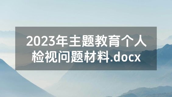 2023年主题教育个人检视问题材料.docx