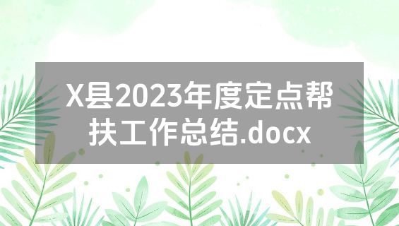 X县2023年度定点帮扶工作总结.docx