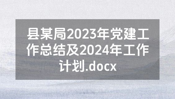 县某局2023年党建工作总结及2024年工作计划.docx