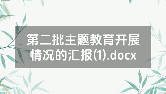 第二批主题教育开展情况的汇报(1).docx