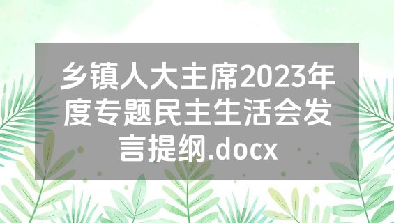 乡镇人大主席2023年度专题民主生活会发言提纲.docx