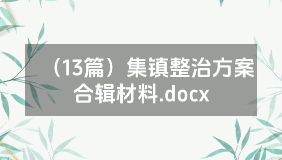 （13篇）集镇整治方案合辑材料.docx