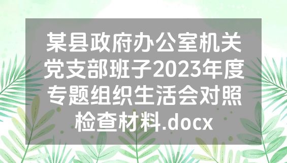 某县政府办公室机关党支部班子2023年度专题组织生活会对照检查材料.docx