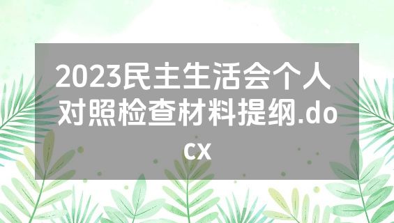 2023民主生活会个人 对照检查材料提纲.docx