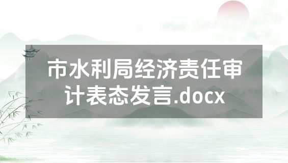 市水利局经济责任审计表态发言.docx
