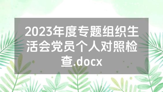 2023年度专题组织生活会党员个人对照检查.docx