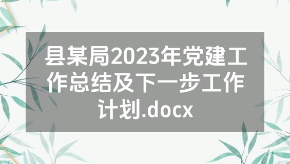 县某局2023年党建工作总结及下一步工作计划.docx