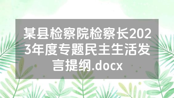 某县检察院检察长2023年度专题民主生活发言提纲.docx