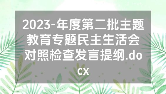 2023-年度第二批主题教育专题民主生活会对照检查发言提纲.docx
