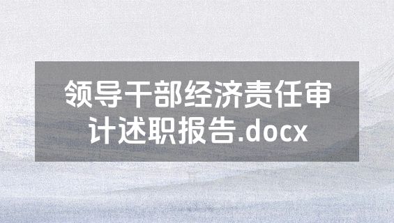 领导干部经济责任审计述职报告.docx
