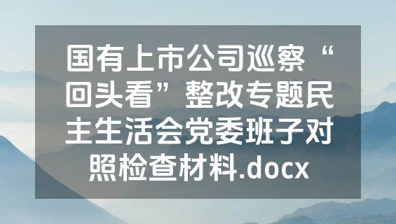 国有上市公司巡察“回头看”整改专题民主生活会党委班子对照检查材料.docx