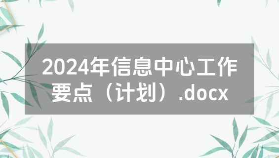 2024年信息中心工作要点（计划）.docx