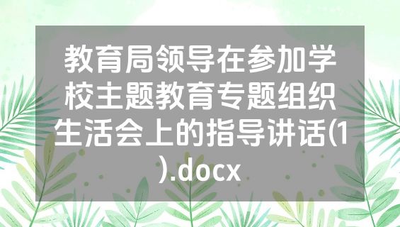 教育局领导在参加学校主题教育专题组织生活会上的指导讲话(1).docx
