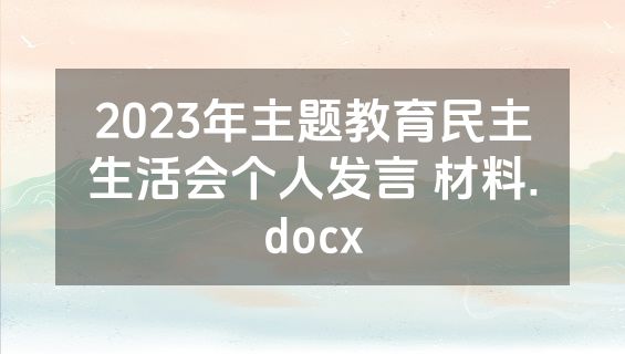 2023年主题教育民主生活会个人发言 材料.docx