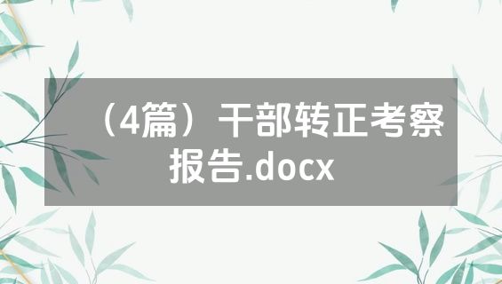 （4篇）干部转正考察报告.docx