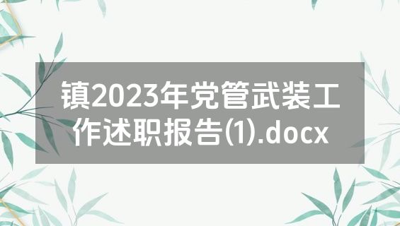 镇2023年党管武装工作述职报告(1).docx