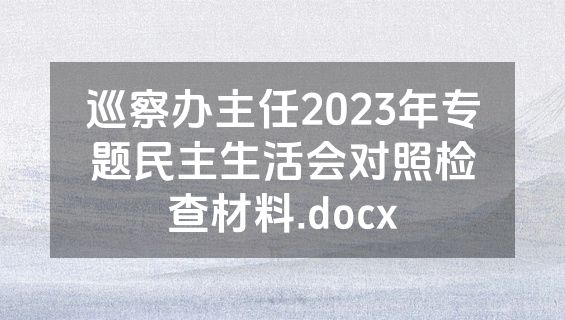巡察办主任2023年专题民主生活会对照检查材料.docx