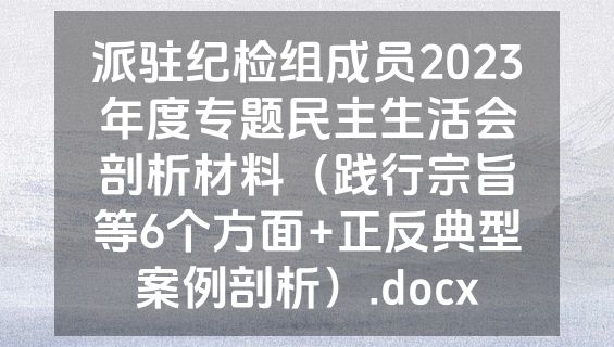 派驻纪检组成员2023年度专题民主生活会剖析材料（践行宗旨等6个方面+正反典型案例剖析）.docx