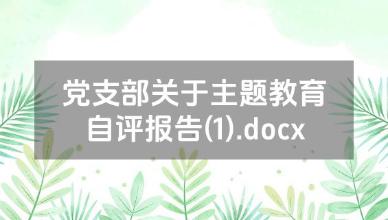 党支部关于主题教育自评报告(1).docx