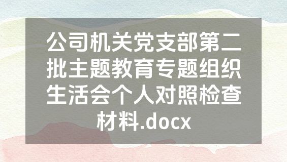 公司机关党支部第二批主题教育专题组织生活会个人对照检查材料.docx