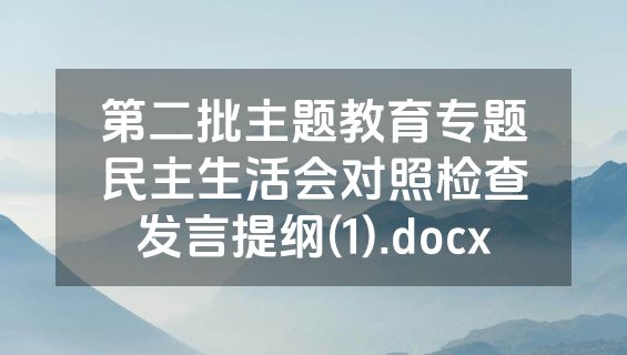 第二批主题教育专题民主生活会对照检查发言提纲(1).docx