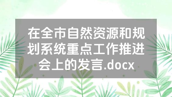在全市自然资源和规划系统重点工作推进会上的发言.docx