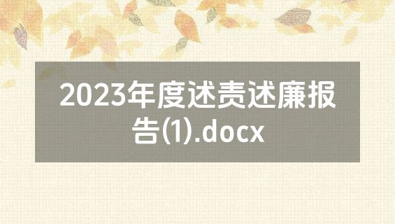 2023年度述责述廉报告(1).docx