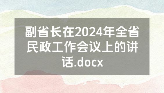 副省长在2024年全省民政工作会议上的讲话.docx