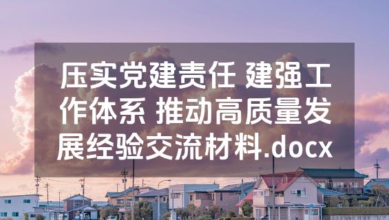 压实党建责任 建强工作体系 推动高质量发展经验交流材料.docx