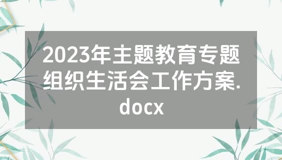 2023年主题教育专题组织生活会工作方案.docx